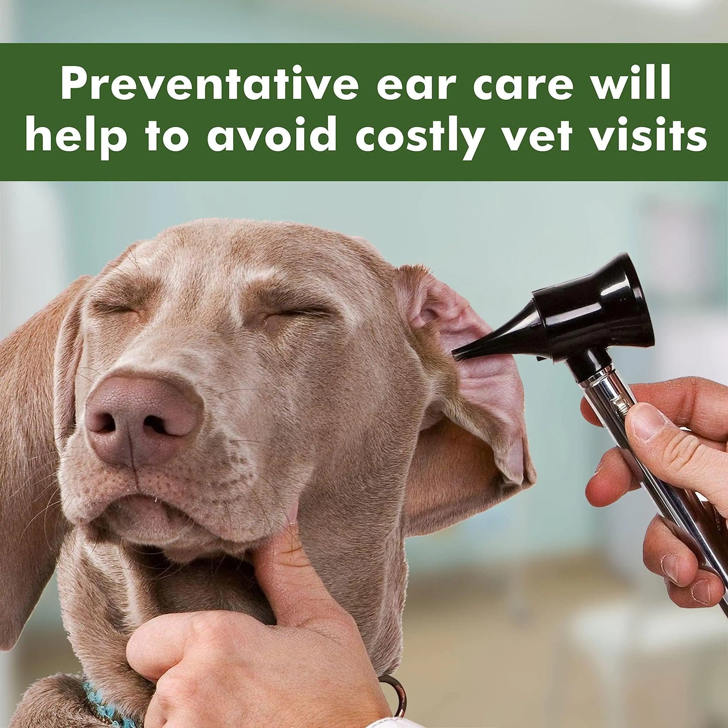 Pet Ear Cleansing Wipes 100 Count